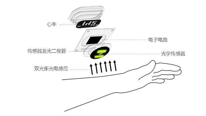 詳解心率監(jiān)測穿戴設(shè)備的原理作用及使用時的注意要點