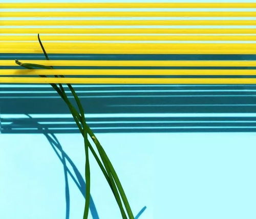 建筑之味 當混凝土與創意交融的文化藝術策劃