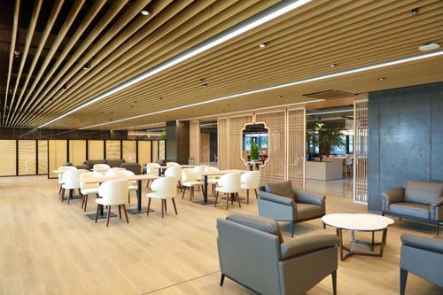 記錄時代足跡，繪就千里江山 世紀出版集團十年成果展示與文化藝術交流策劃