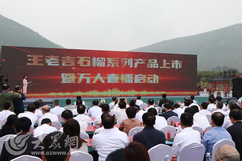 榴聚新動能 2023石榴產業發展大會在棗莊開幕，共繪產業與文化交融新藍圖